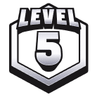 Level 5